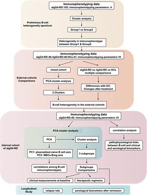 Peripheral B-Cell Immunophenotyping Identifies Heterogeneity in IgG4-Related Disease